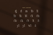 Gilgan Elegant Ligature Serif Font, a Serif Font by Elegant Font (Thumbnail 8 of 8)
