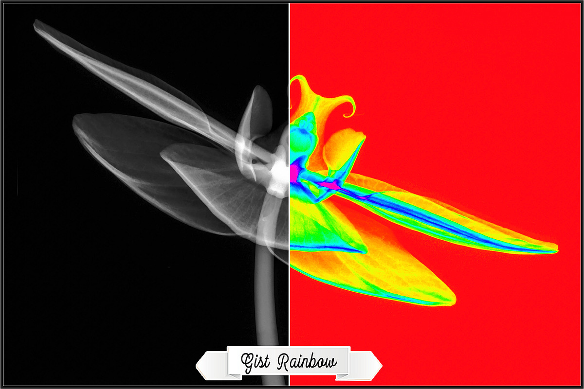 Science Visualization LUTs Vol. 2 preview 8