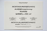 Fevepu - Elegant Serif Font for Luxu, a Font by Astuti Studio (Thumbnail 2 of 16)