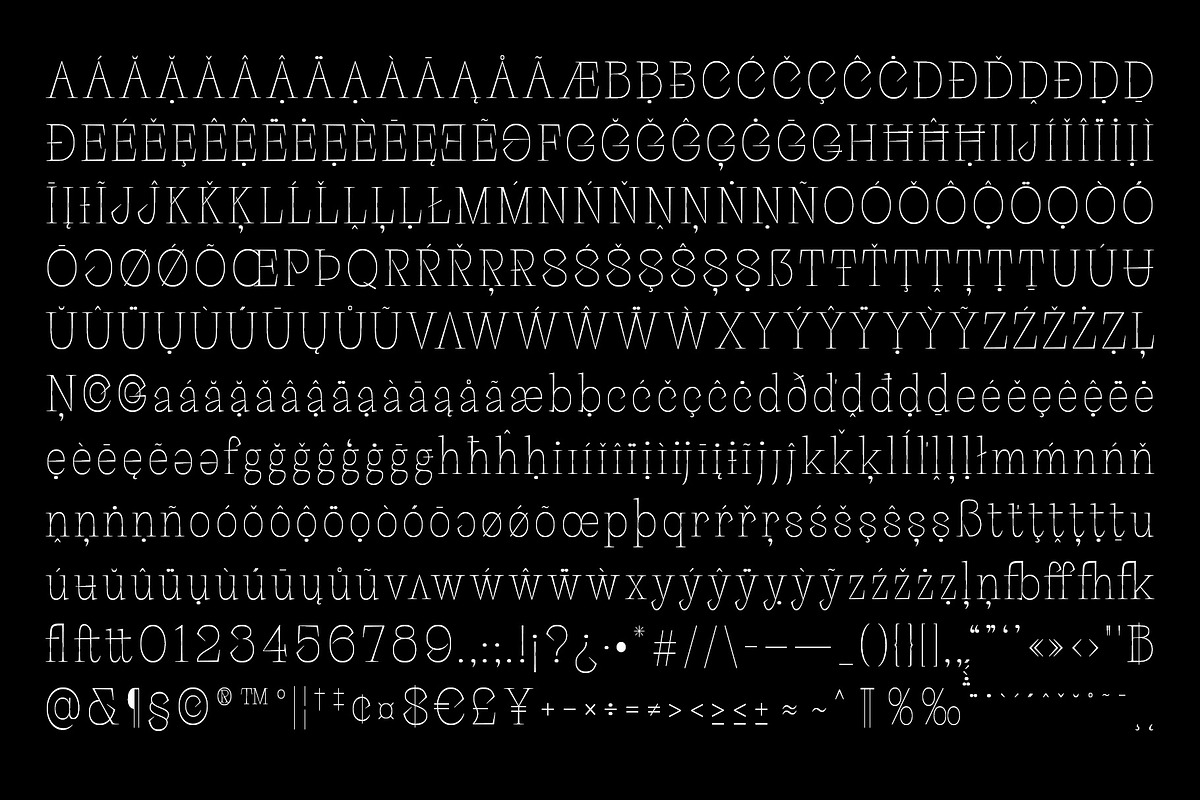 Palaise - Display Serif Typeface, a Serif Font by Craft Supply Co. (Photo 7 of 8)