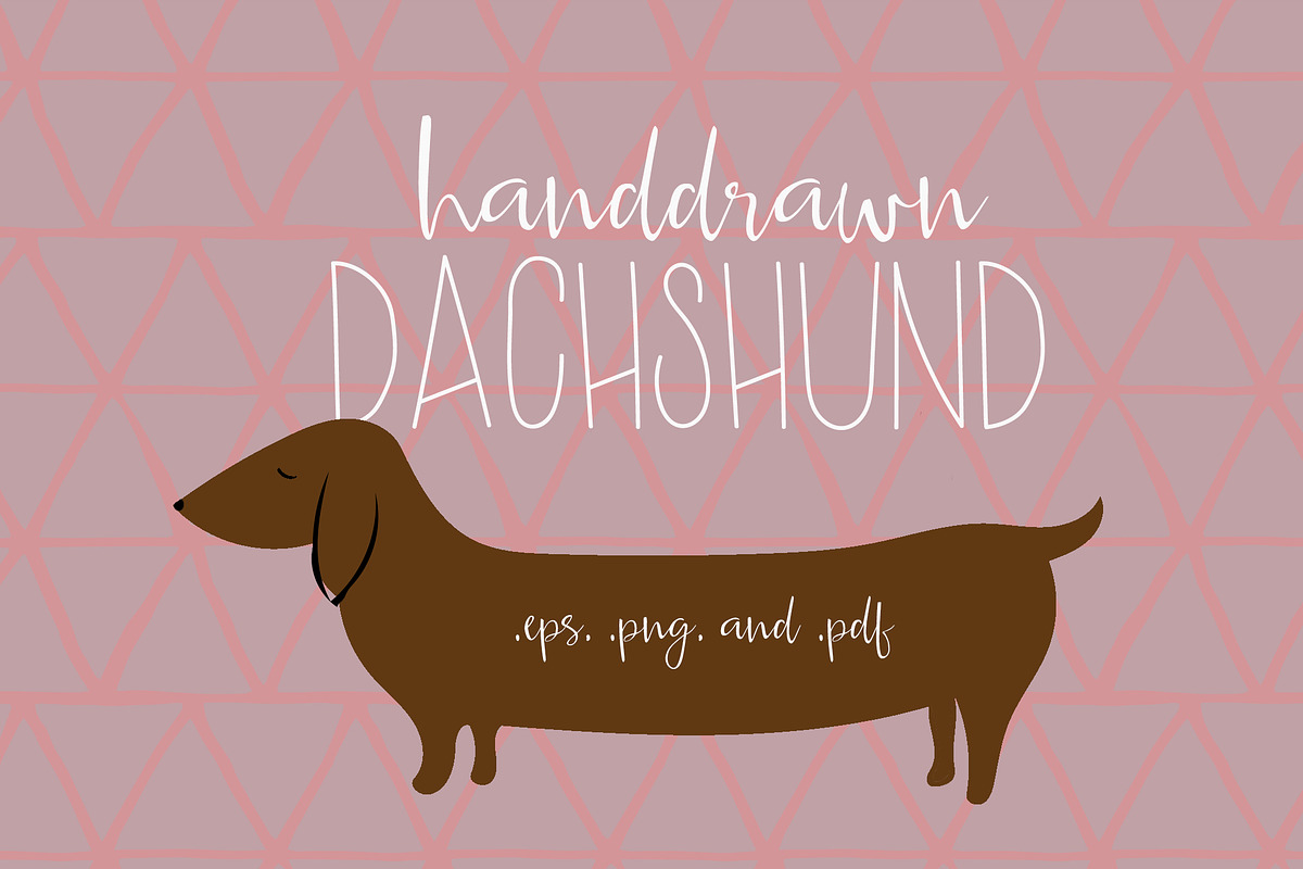 Hand Drawn Dachshund, an Animal Illustration by beingsaradixon