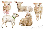 Watercolor lamb, sheep clipart, an Animal Illustration by yana.fefelova (Thumbnail 2 of 4)