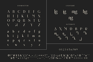 Bling Unique Serif Typeface