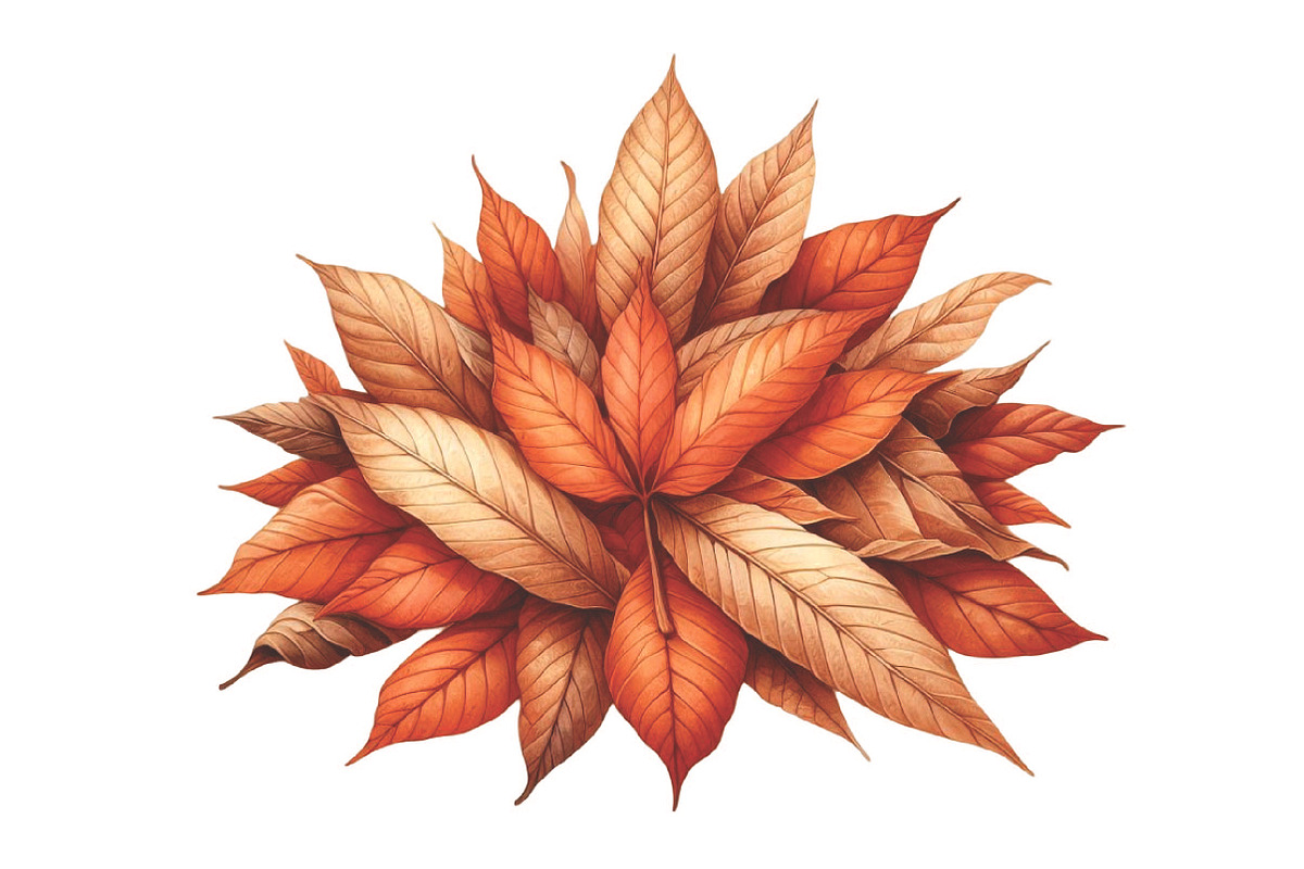 Burnt Orange Autumn Sublimation, an Illustration by Designking (Photo 4 of 4)