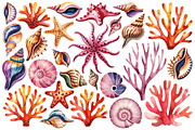Watercolor Sea Shells & Coral Set, an Object Illustration by Whimsy Brush Studio (Thumbnail 5 of 9)