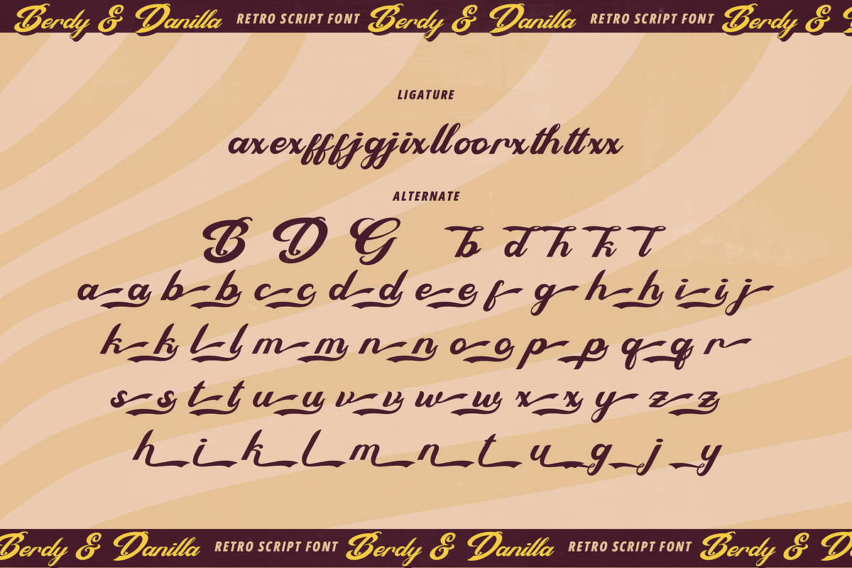 Berdy Danilla | Retro Script Font, a Script Font by Denustudios (Photo 15 of 15)