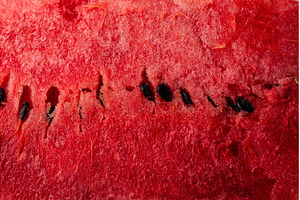 Fresh juicy sliced watermelon close, a Food & Drink Photo by Yulia Furman