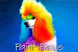 Paint Focus Photoshop Action