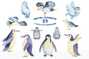 Polar Animals Watercolor Collection, an Animal Illustration by LenArt (Thumbnail 3 of 16)