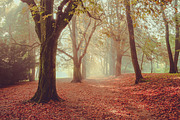 10 Stunning Matte Landscape Presets, a Preset Add-On by Timeless Presets (Thumbnail 8 of 13)