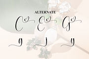 Earrings | Script Font, a Handwritten Font by Scratchones (Thumbnail 8 of 9)