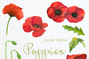 Poppies & Spring Flowers. Watercolor