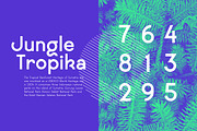 Maximo Nexa, a Sans Serif Font by Kaligra.co (Thumbnail 13 of 15)