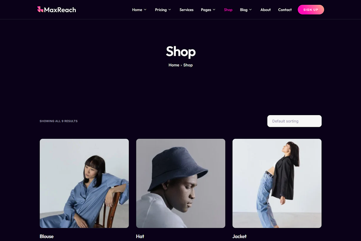 SEO & Digital Agency WordPress, a WordPress Template by Elite Templates (Photo 6 of 10)