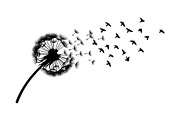 Dandelion Blow Silhouette Bundle, an Illustration by yasushie (Thumbnail 24 of 31)