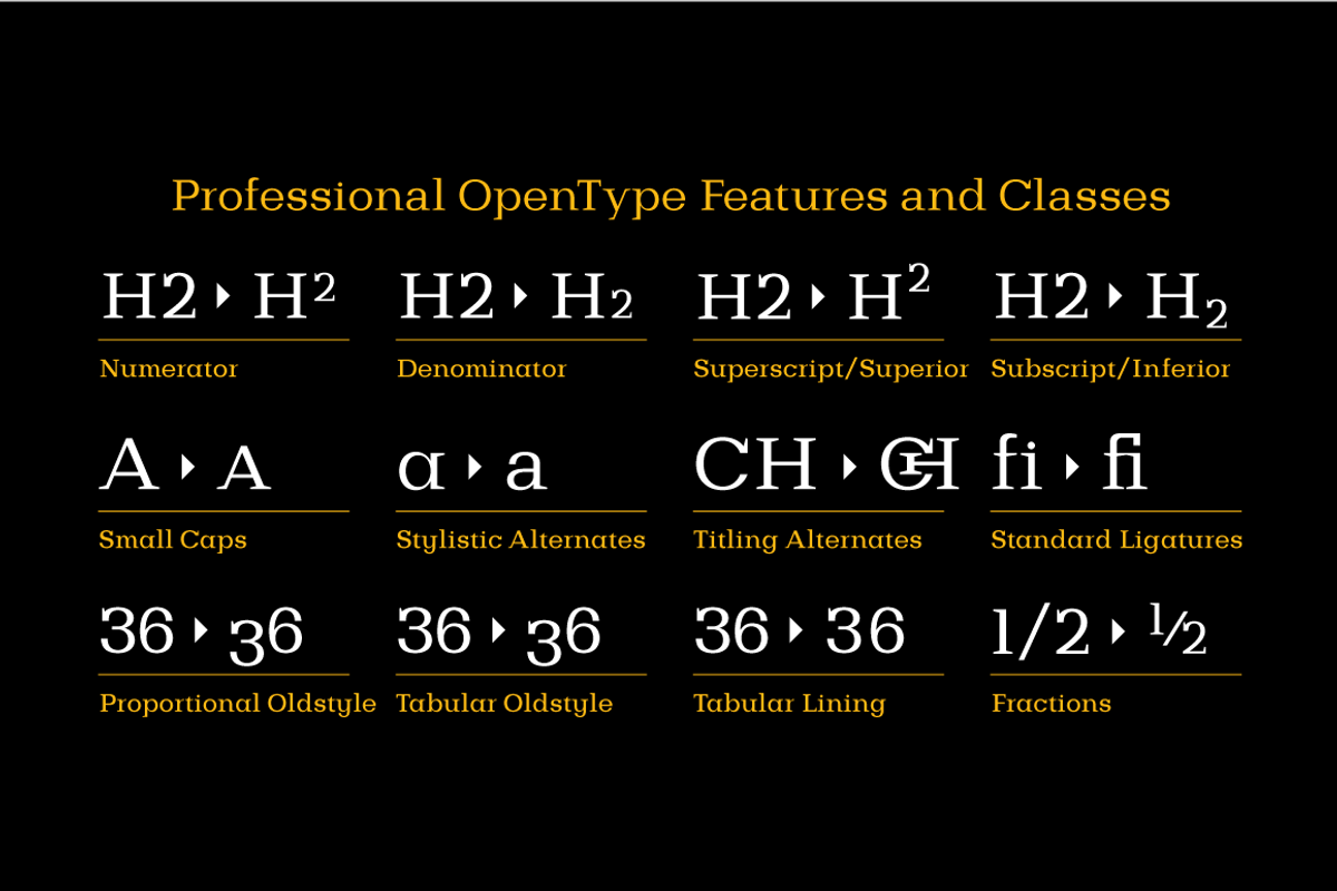 Bodrum Slab, a Slab Serif Font by BULENT YUKSEL (Photo 6 of 12)