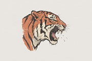 Roaring Tiger PNG, Wild Animal Art,, an Illustration by SharpMarketplace (Thumbnail 1 of 4)