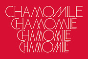 ED Lochaline, a Serif Font by Emyself Design (Thumbnail 3 of 12)