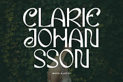 Eiclare Decorative Display Font, a Handwritten Font by Maulana Creative (Thumbnail 4 of 7)