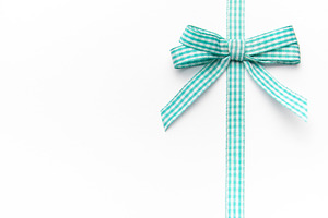Gingham ribbon bow with copy space, a Holiday Photo by Olena Rudo