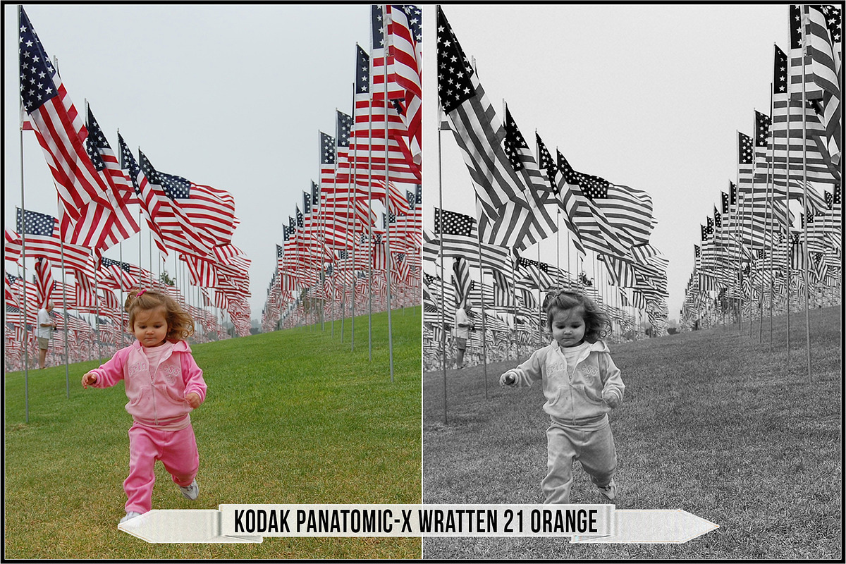 Eastman Kodak Black White Films LUTs, a Plug-in Add-On by Raztrend (Photo 24 of 30)