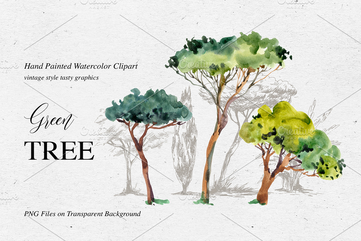 Watercolor Tree Clipart, an Illustration by Belusuab (Photo 1 of 10)