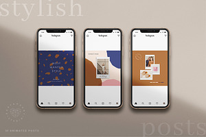 Animated Stylish Instagram Posts