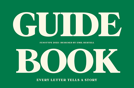 Guidebook Serif Font, a Serif Font by Fenotype