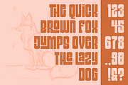 Lebiem, a Sans Serif Font by Linecreative (Thumbnail 7 of 9)