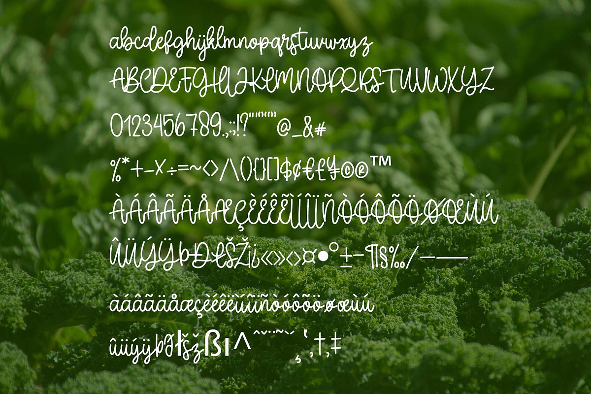 Broccoli script, a Font by Rashdrawn (Photo 2 of 3)