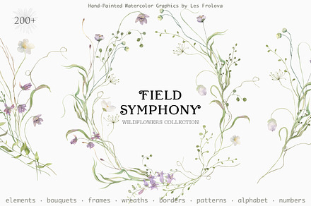 FIELD SYMPHONY- Flowers Collection