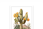 Cactus SVG, Cactus Decor, Cactus SVG, an Illustration by mollyli.ai (Thumbnail 1 of 6)