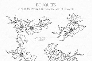 Magnolia Line Drawing Collection