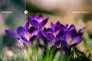 Spring Lightroom Presets, an Action Add-On by Art Zooted (Thumbnail 3 of 6)