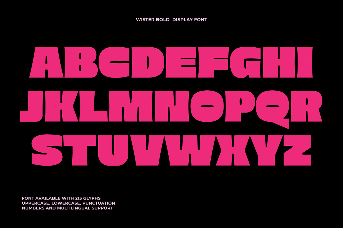 Wister - Bold Font, a Sans Serif Font by limitype (Photo 7 of 12)