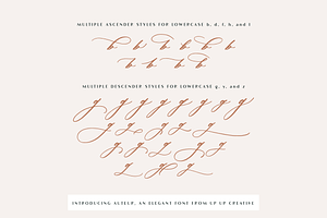 Auteur Calligraphy Script Font