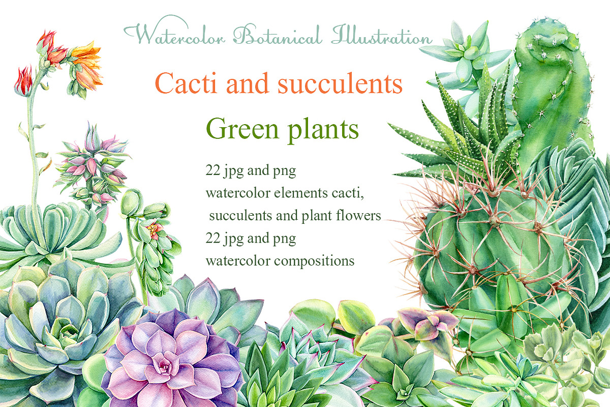 Watercolor Green plants, a Decorative Illustration by Hanna Hryharenka (Photo 1 of 11)