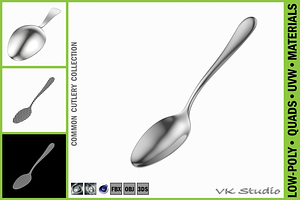 Serving Spoon Common Cutlery