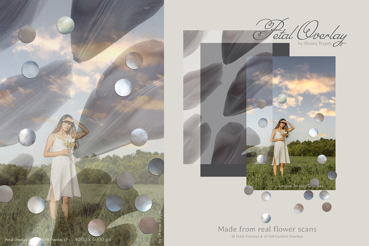 Flower Petal Textures & Foil Overlay, a Texture Graphic by Oksana Trygub (Photo 12 of 28)