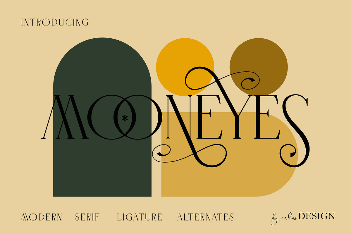 The Font Bundle 12 Modern Fonts, a Handwritten Font by erlosDESIGN (Photo 12 of 13)