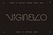 VIGNELO Typeface, a Serif Font by Few & Fahr Studio (Thumbnail 1 of 9)