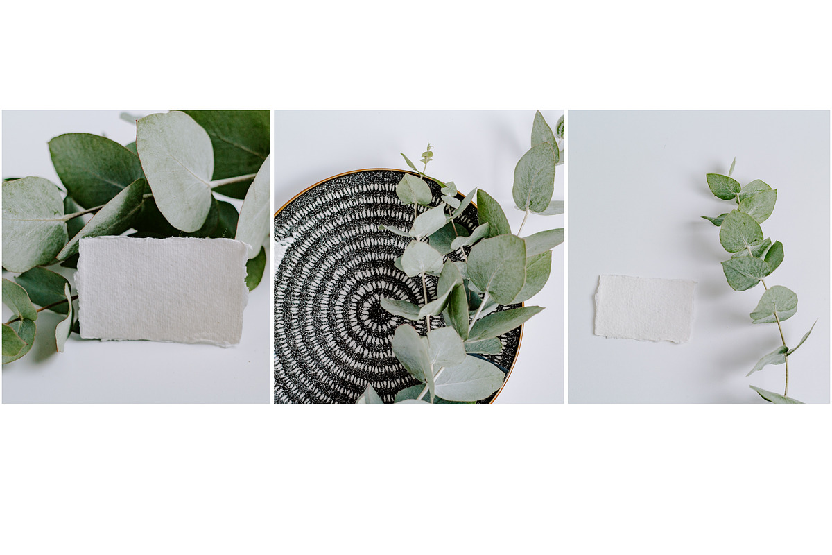 Eucalyptus Bundle, a Product Mockup by Peppermint &Tea (Photo 4 of 8)