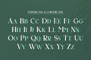 Agnista All Caps Serif Font