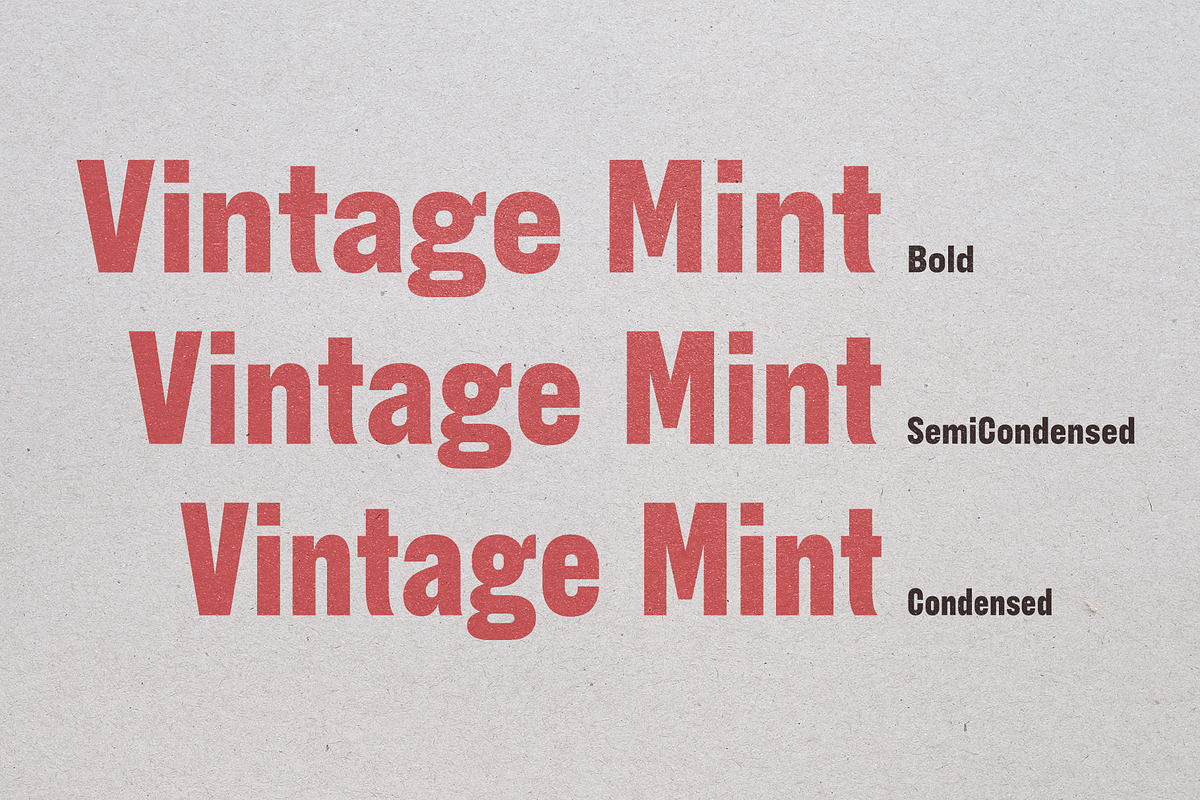 Vintage Mint | Family with 3 widths, a Sans Serif Font by Haus Type (Photo 6 of 7)