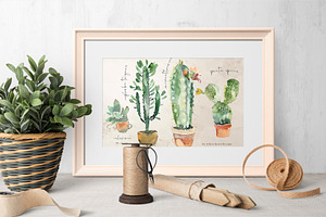 Cacti Watercolor Cactuses Clipart