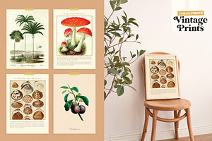 Vintage Prints Poster Bundle 100