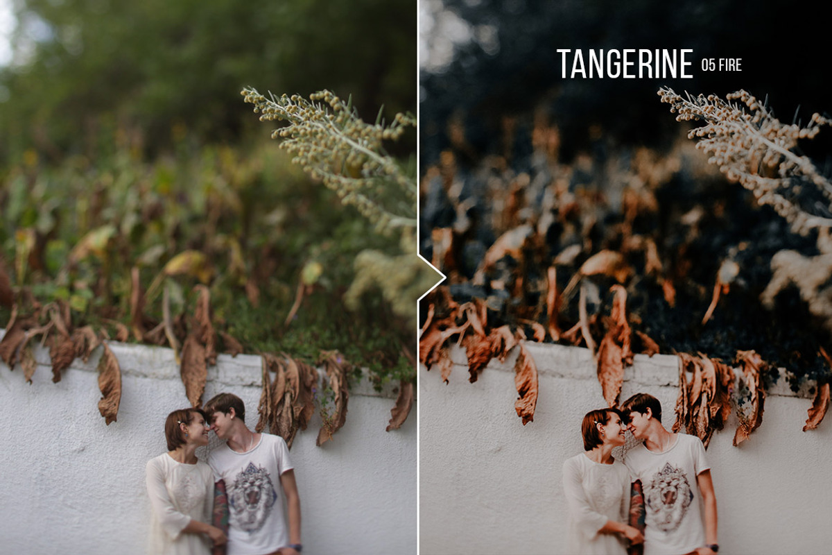 Tangerine Presets - Lightroom & ACR, an Action Add-On by Presetrain Co. (Photo 6 of 12)