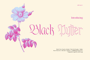 The Blackletter Bundle Alitdesign