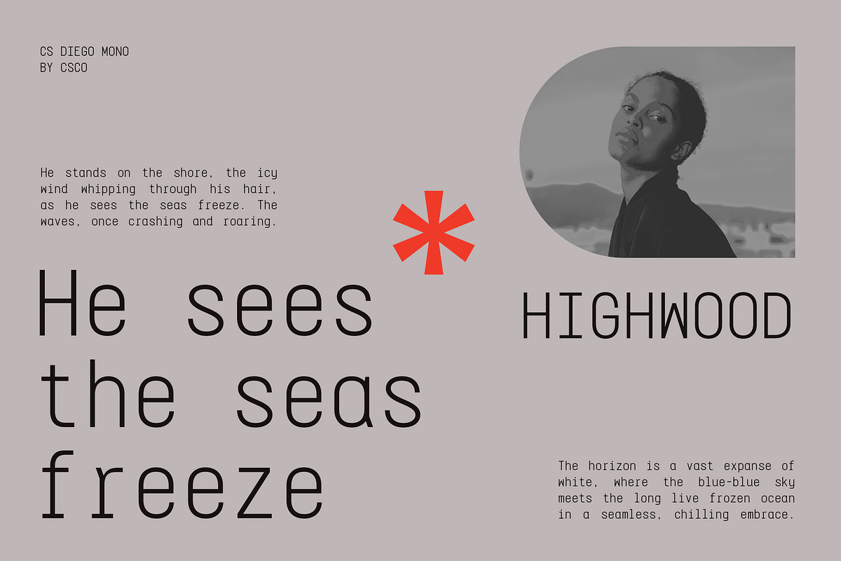 CS Diego Mono – Sans Serif Typeface, a Sans Serif Font by Craft Supply Co. (Photo 2 of 8)