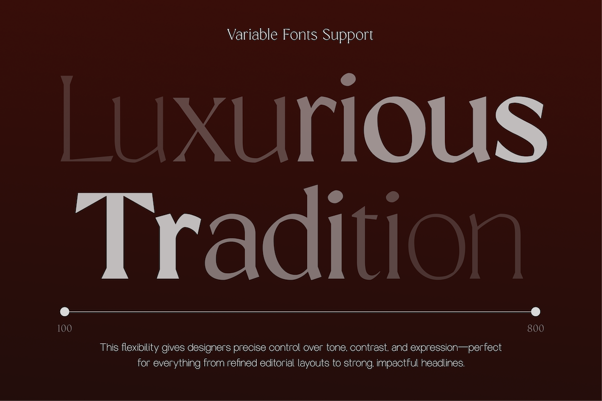 GC Prometheus – Serif Family, a Serif Font by Glyphonic (Photo 7 of 15)